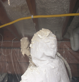 Peoria IL crawl space insulation